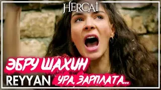 СКОЛЬКО ЭБРУ ШАХИН ЗАрАБАТЫВАЕТ в сериале ВЕТРЕНЫЙ. Ура, Зарплата