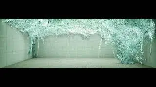 Wind | Visual Lab