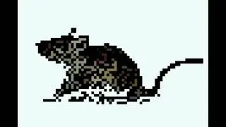 the mice best practice