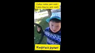 интернетте хит болгон бала.
