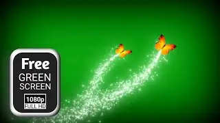 Butterfly green screen sparkle effect | green screen butterfly | Butterfly magic green screen effect