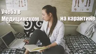 Мед на карантине #1 | Как все организовано?