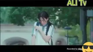 TJ rep| тасирли кушик😔