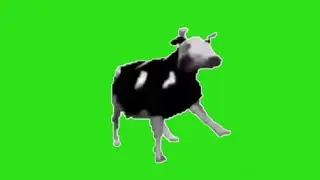 Dancing Polish Cow Meme Green Screen !!! No Copyright !!!