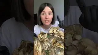How to survive in the forest?