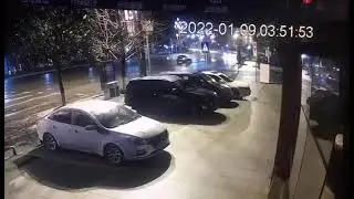 Parking Skill Lv. 100