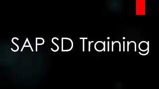 SAP ECC SD Training - Sales Order (Video 13) | SAP SD