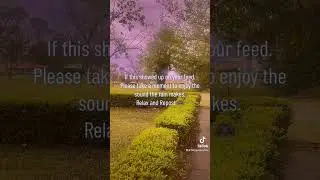 Rain ASMR - Rain sounds to relax