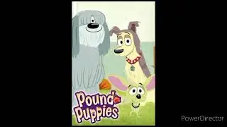 feliz 14 anniversario pound puppies (2010)