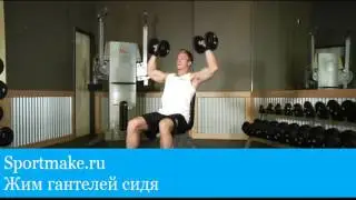 Жим гантелей сидя