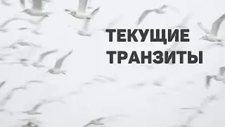 ТЕКУЩИЕ ТРАНЗИТЫ