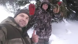 15.01.2022г. Сбор еловых шишек - 2 часть 👍
