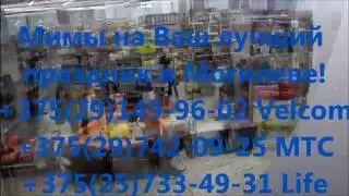 Мим на Ваш лучший праздник Могилев