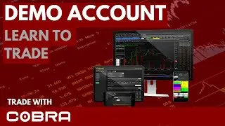 Learn to Trade Risk-Free with a Demo Account