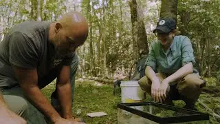 Conserving Brook Trout in West Virginia