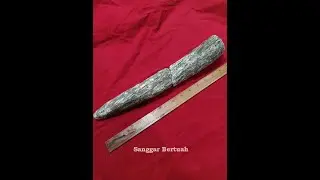FOSIL GADING GAJAH UTUH ASLI MEMBATU