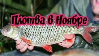 Ловля Плотвы в Ноябре.Где ловить Плотву поздней осенью.