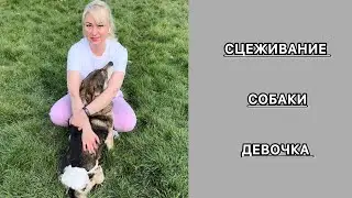 Сцеживание собаки (дама). Очень просто. Подпишись и читай описание. #сцеживаниесобаки