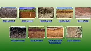 Proses Pembentukan Tanah dan Jenis Tanah di Indonesia