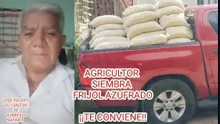 ¡¡ PUEDES VERDER AL DOBLE Y HASTA EL TRIPLE TU COSECHA DE FRIJOL !!   AGRICULTOR PONTE LAS PILAS