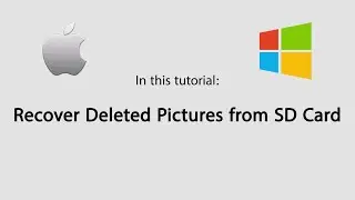Recover Deleted Pictures from SD Card on Mac and Windows in 3 steps