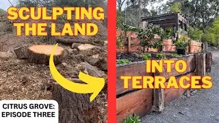 Making a Citrus Grove [PART THREE]: Sculpting the Land