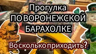 ПРОГУЛКА ПО ВОРОНЕЖСКОЙ БАРАХОЛКЕ| ВО СКОЛЬКО ПРИХОДИТЬ?