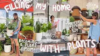 filling my home with PLANTS because it needs LIFE 🌱*thrifting + plant shopping!*