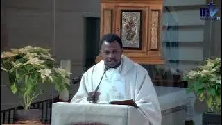 La Sainte Messe du jour | 5ème jour dans l'octave de Noël - Année B | 29-12-2023 | P. José Nkomo, FM