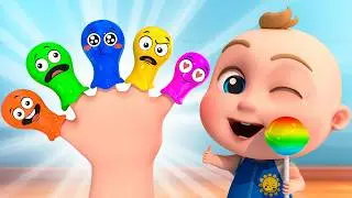 Lollipop Finger Family 🍭 Catch the Lollipop - Finger Family | TimoBoy Kids Songs & Nursery Rhymes