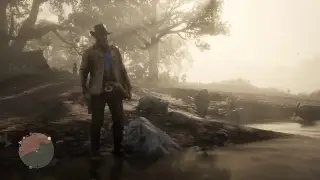 Red Dead Redemption 2 Стримлю Лапками