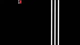 Donk Muzik (Free Download)