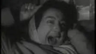 A Very Stupid Movie