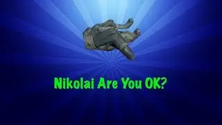 Nikolai are you ok?