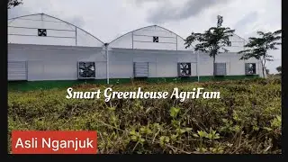 Smart Green House