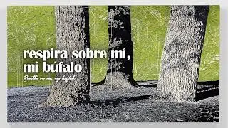 Alt-J (Δ) ft. Mountain Man - Buffalo | ESPAÑOL/INGLÉS