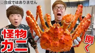 【怪物】築地市場で仕入れた超巨大タラバガニを知識ゼロの兄弟で捌いて爆食い！！！【ヒカキン&セイキン】