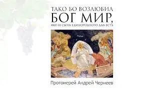 Тако бо возлюби Бог мир, яко и Сына Своего Единороднаго дал есть  | Протоиерей Андрей Чернеев