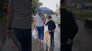 ☔️🍁🤙