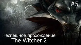 Поиграем в Ведьмак 2 Убийцы королей - #5 Беда с троллем
