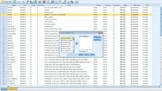 SPSS Hypothesis test (One-sample T Test)
