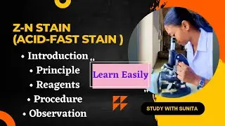 Z-N Staining Procedure (Acid-Fast Staining) @MLTclass #viral #microbiology #znstain