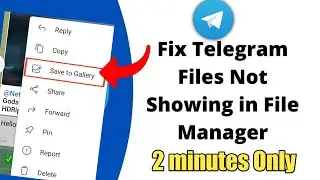 telegram file not showing in file manager | downloaded file not showing in file manager 2023