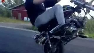 Monkeyllä Keulimis Reeniä