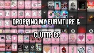 DROPPING MY FURNITURE & CLUTTER CC