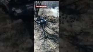 20 марта 2022 г.
