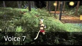 FFXIV:ARR Combat Voices - Female Mi'qote (Keepers of the Moon)