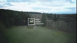 Logo reveal:opener