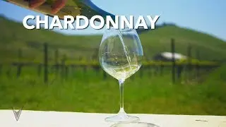 Chardonnay Explained - V is for Vino Wine Show