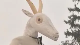 Як  